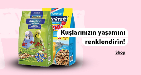 banner/images/BANNERS/HOMEPAGE_BANNERS/type D - 2.jpg